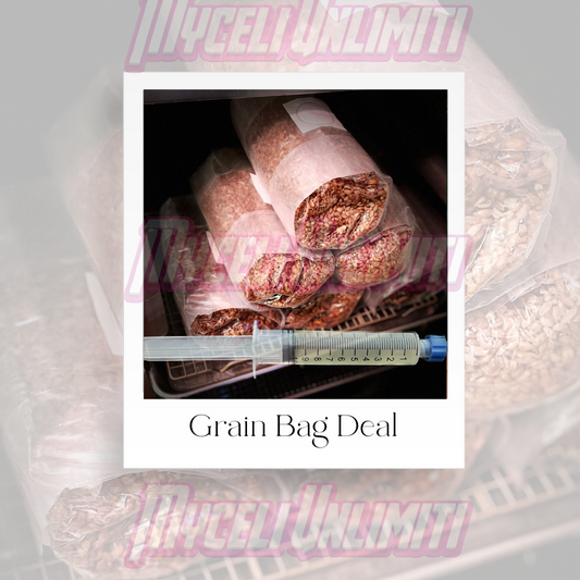 Grain Kit Deal